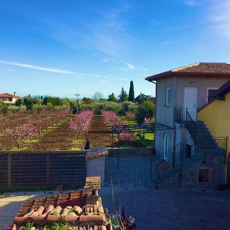 Chez Raz B&B Velletri Esterno foto