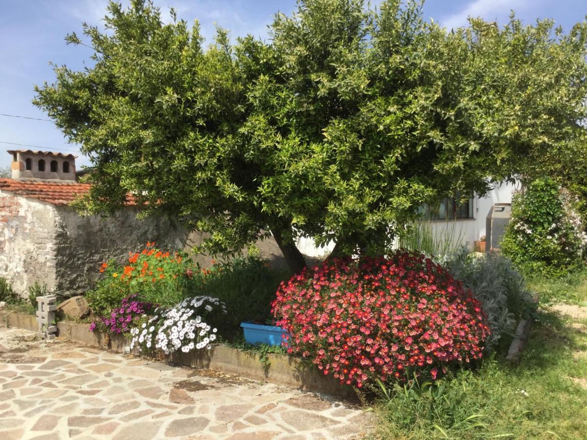Chez Raz B&B Velletri Esterno foto