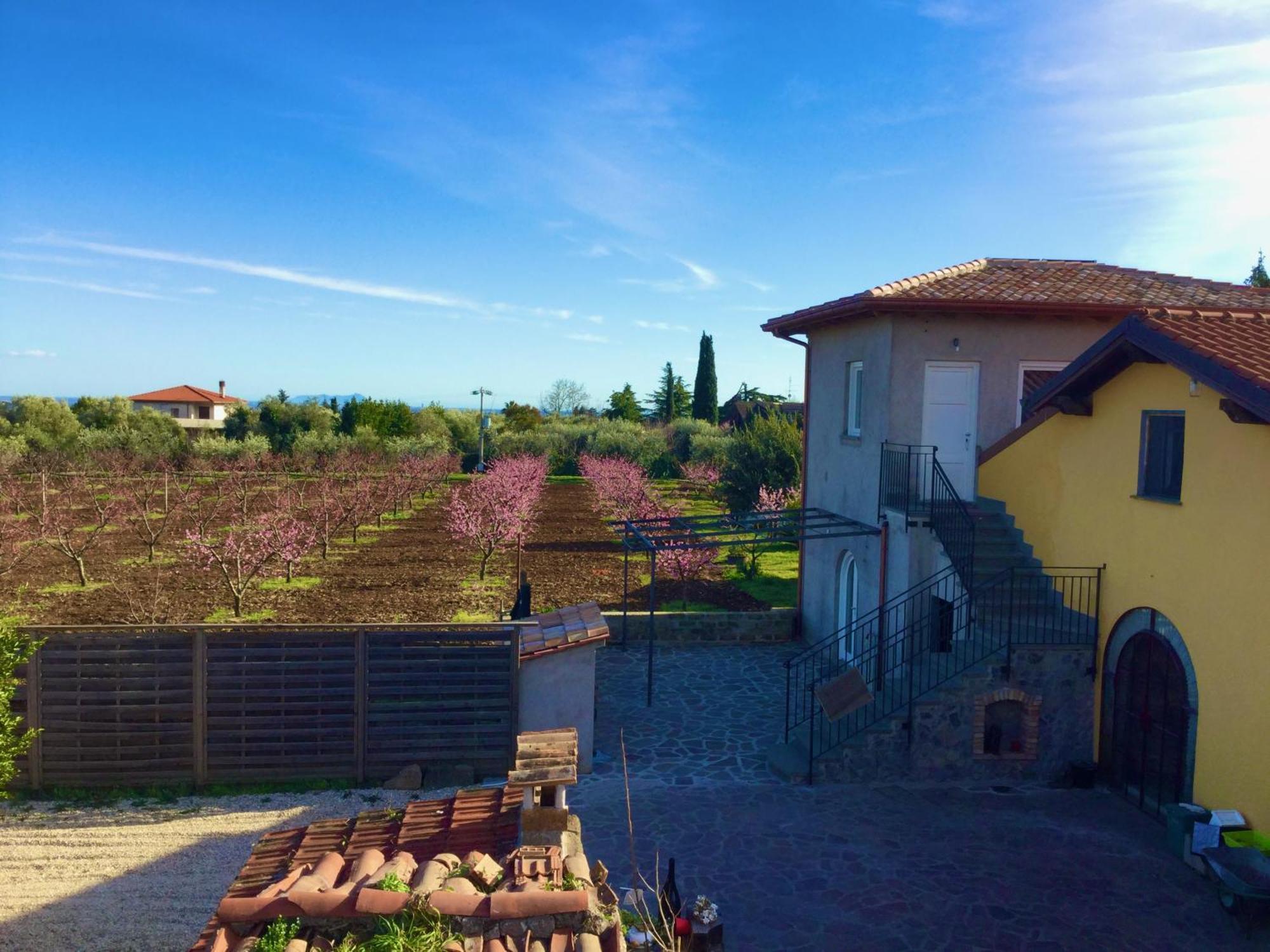 Chez Raz B&B Velletri Esterno foto