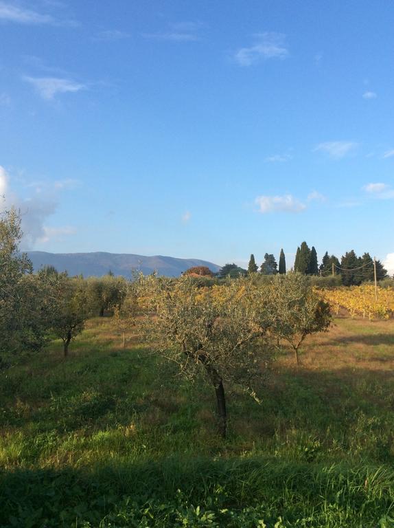Chez Raz B&B Velletri Esterno foto