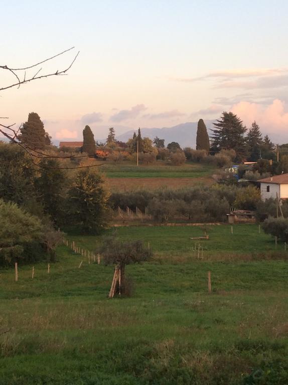 Chez Raz B&B Velletri Esterno foto