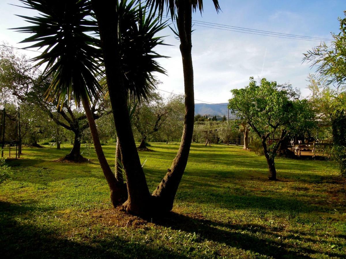 Chez Raz B&B Velletri Esterno foto